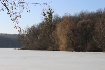 The shore of the forest lake in early spring