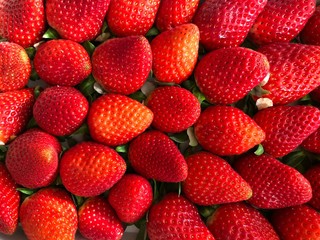 pile of strawberries