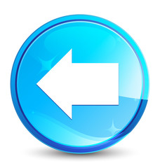 Back arrow icon splash natural blue round button