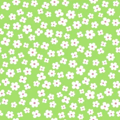 Fototapete Kleine Blumen Nahtloses Blumenmuster in Vektor. Kleine weiße Blumen auf grünem Hintergrund.