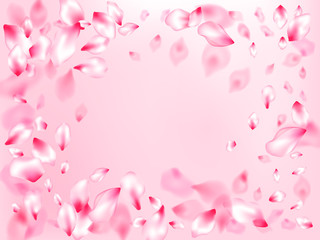 Pink sakura petals confetti flying and falling