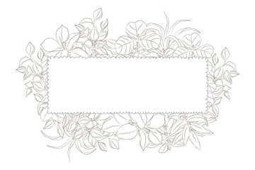 vector sketchy rectangle floral frame isolated on white. Design element, natural and floral themes, image for printed goods, coloring books, interiors, wallpapers, posters.