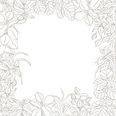 vector hand drawn sketchy simplified floral frame isolated on white. Design element, natural and floral themes, image for printed goods, coloring books, interiors, wallpapers, posters.