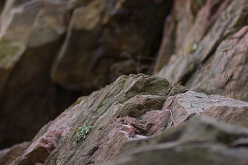 Granite rocks with blurred background. Granite close up. Texture of the stone. Natural material background