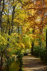 Naklejka premium Herbstszene mit Bach in Baden bei Wien