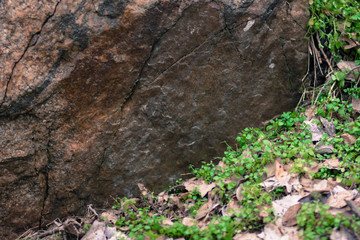 Granite rocks with blurred background. Granite close up. Texture of the stone. Natural material background