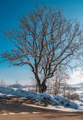 Beautiful winter view near Kirchberg-Bavarian Forest-Bavaria-Germany