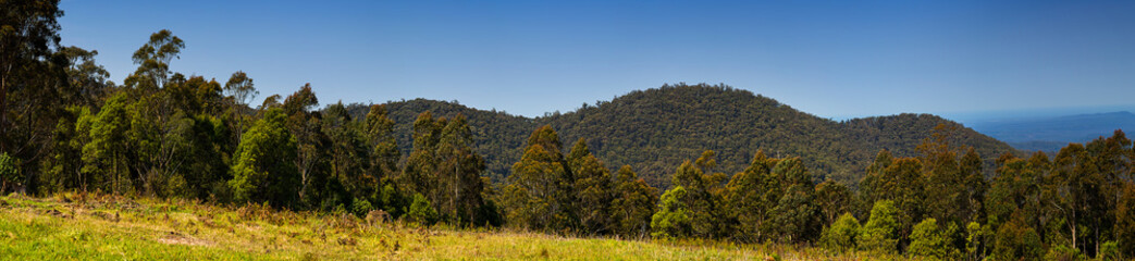 Panoramic view of forests in rural Victoria Australia