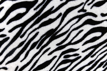 Fototapeta na wymiar Glamorous zebra skin print