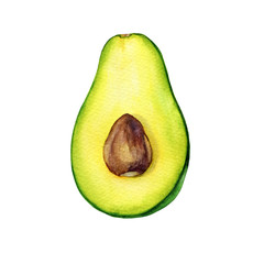 Half of avocado fruit with seed (also called an avocado pear,  butter fruit or alligator pear). Hand drawn botanical watercolor painting illustration isolated on white background.