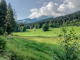 Fototapeta na wymiar Grüne Hügellandschaft mit Bergen, Wälder und Wolken im Hintergrund. 