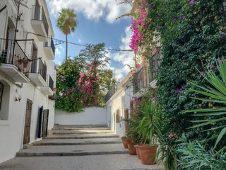 Fototapeta na wymiar Alley in the old town of Ibiza