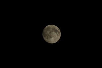 Obraz premium full moon in the night