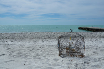 Crab Trap washed up on the beach