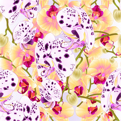 Seamless texture branch orchids dots white and purple and yellow flowers  Phalaenopsis tropical plant nature  background  vintage vector botanical illustration for design hand draw 