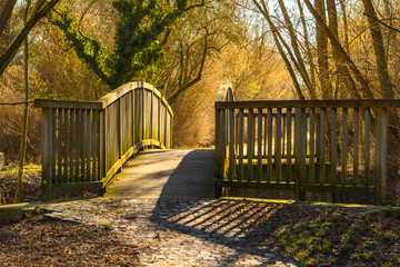 Holzbrücke im Frühling