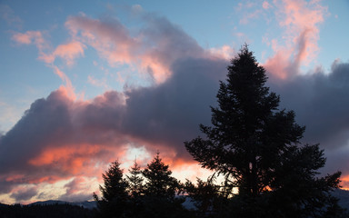 Sunset with beautiful pink orange colors on a snowy mountain with fir trees in the foreground