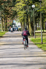 A person riding a bicycle through a park