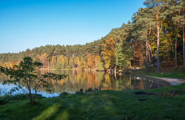  Autumn lake at the shining sun
