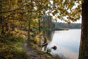 Obraz premium Autumn lake at the shining sun