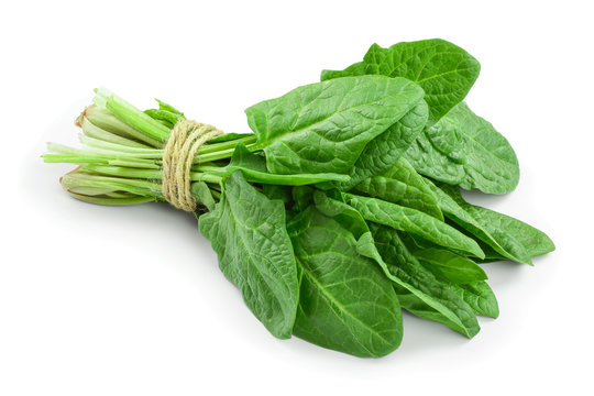 fresh spinach bundle isolated on white background
