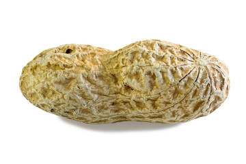 peanut unpeeled insolated macro