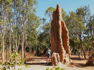 a tourist inspects a cathedral termite mound in the northern territory