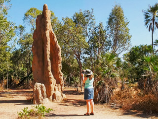 photographing aa tourist photographs a cathedral termite mound in the northern territory termite...