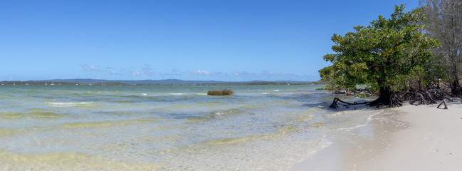 tropical beach and sea