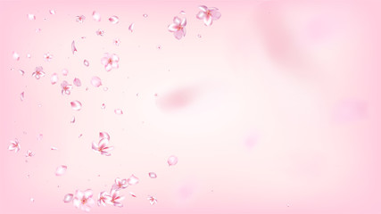 Nice Sakura Blossom Isolated Vector. Watercolor Showering 3d Petals Wedding Pattern. Japanese Blooming Flowers Illustration. Valentine, Mother's Day Feminine Nice Sakura Blossom Isolated on Rose