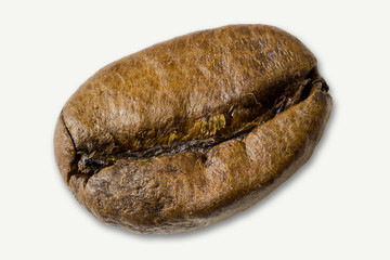 coffee bean insolated macro