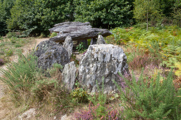 M&eacute;galithe - all&eacute;e couverte