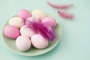 Set of Easter eggs and decorative feathers