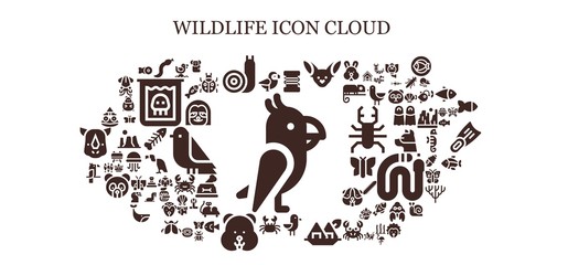 wildlife icon set