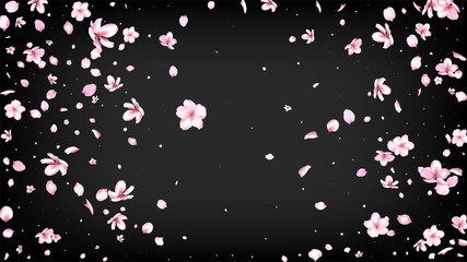 Nice Sakura Blossom Isolated Vector. Feminine Falling 3d Petals Wedding Pattern. Japanese Bokeh Flowers Illustration. Valentine, Mother's Day Tender Nice Sakura Blossom Isolated on Black