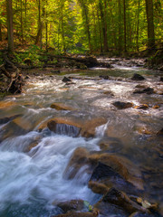 Mountain river in the forest