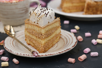 Honey sponge cake with butter cream located on a dark background. In the foreground a piece of cake on a plate