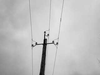 A pole with electrical wires. Wooden pole holding live wires