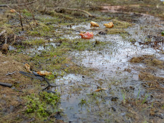 Pollution of the planet Earth. Garbage on the ground.