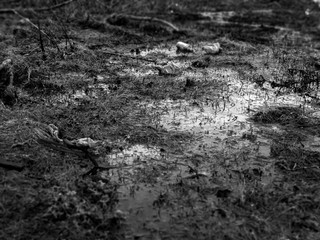 Pollution of the planet Earth. Garbage on the ground.