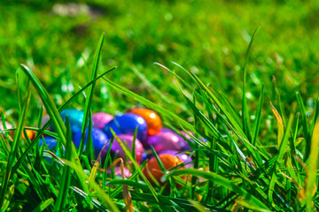 Chocolate Easter Eggs Lie In Grass