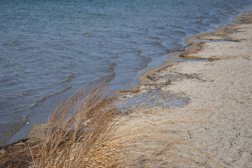 Winterlandschaft am See