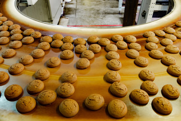 Baking production line. Cookies on conveyor belt, close up