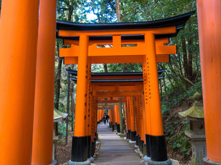 京都　伏見稲荷大社