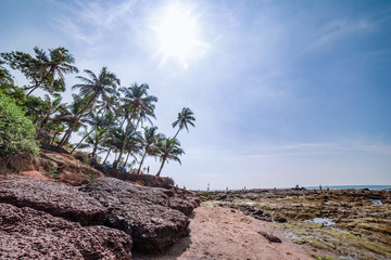 Seascape from GOA
