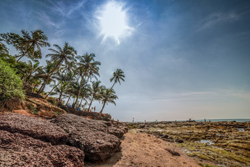 Seascape from GOA