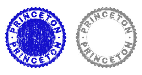 Grunge PRINCETON stamp seals isolated on a white background. Rosette seals with grunge texture in blue and grey colors. Vector rubber stamp imprint of PRINCETON title inside round rosette.