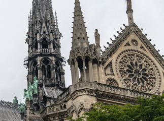 notre dame de paris