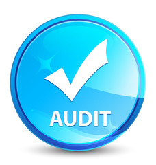 Audit (validate icon) splash natural blue round button