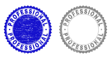 Grunge PROFESSIONAL stamp seals isolated on a white background. Rosette seals with distress texture in blue and gray colors. Vector rubber stamp imitation of PROFESSIONAL caption inside round rosette.